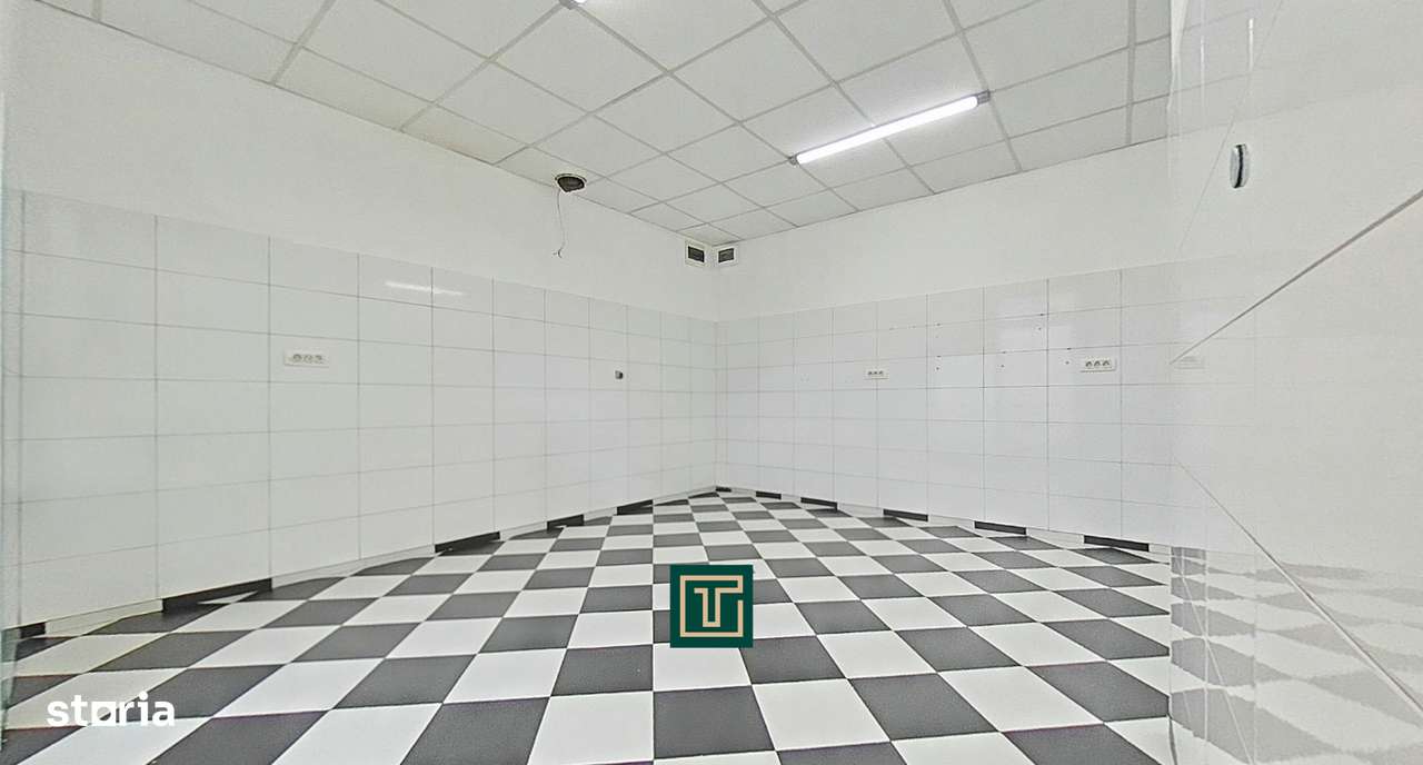 Apartament de vanzare la parter cu două intrări, Andrei Șaguna - Arad - Imagine principală: 5/15