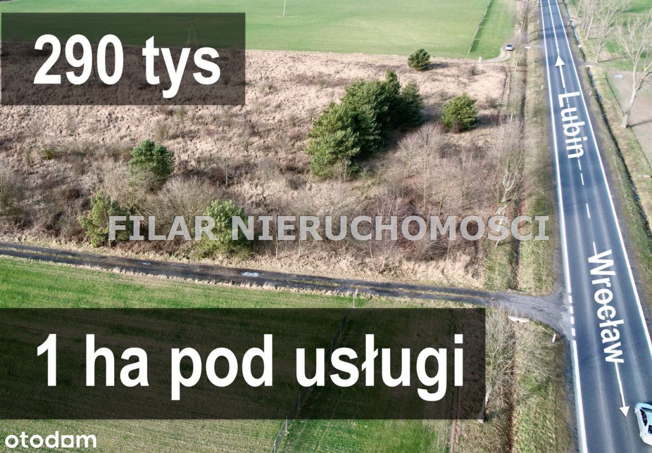 1 ha pod usługi produkcję, magazyny, składy