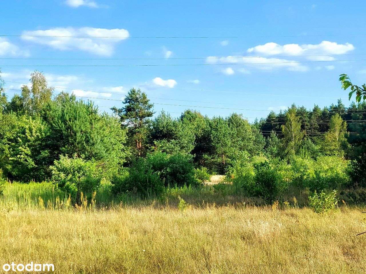 Do sprzedania piękna działka budowlana w Żanęcinie-9