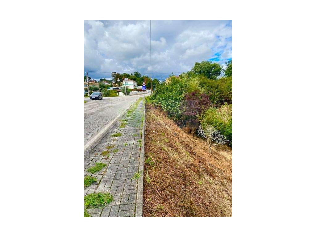 TERRENO PARA CONSTRUÇÃO A 600M DE SEVER DO VOUGA - Grande imagem: 4/8