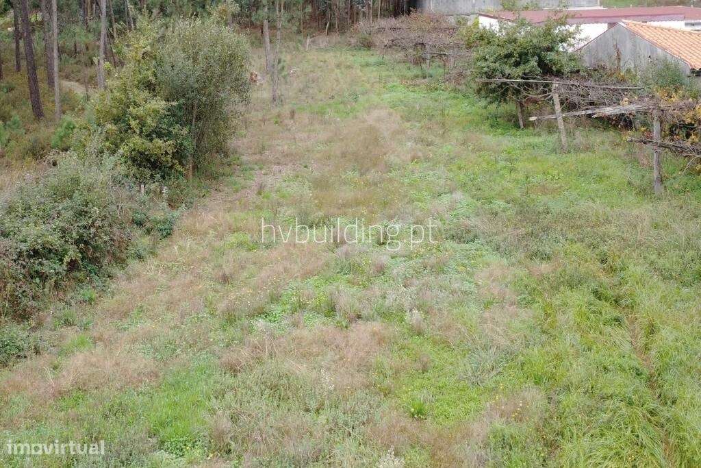 Terreno para construção com 1.565m2 em Cristelo, Barcelos - Grande imagem: 3/6