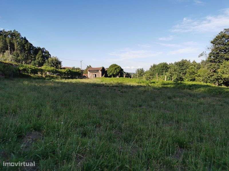 Quintinha com vistas para o rio Douro - Grande imagem: 4/8