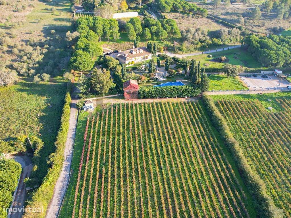 Quinta com Piscina e Vinha para Venda em Azeitão, Arrábida-11