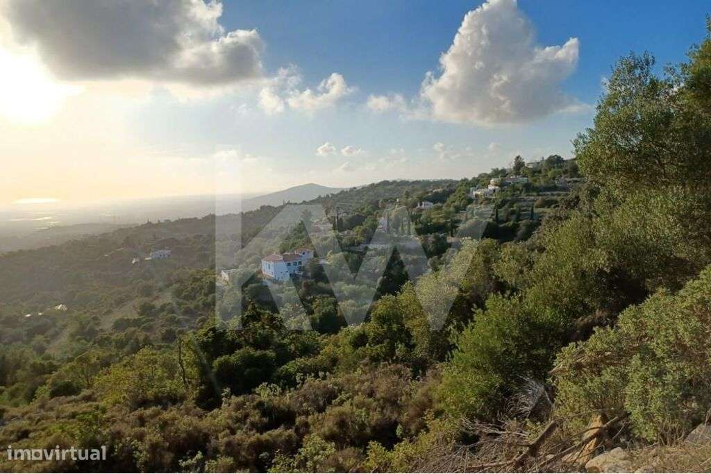 TERRENO PARA CULTURA - EM ESTOI -  COM DESLUMBRANTE VISTA PARA O MAR - Grande imagem: 2/6