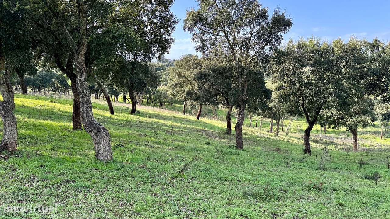 Terreno rústico Malpaga Pequena, Azambuja. Em Venda! - Grande imagem: 5/11