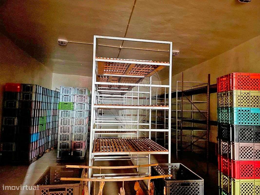 Quinta  para venda-21