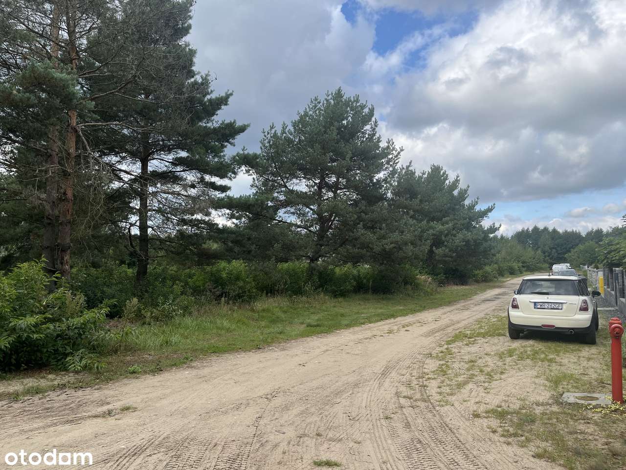 Działki budowlane w lesie blisko Wrześni Psary-6