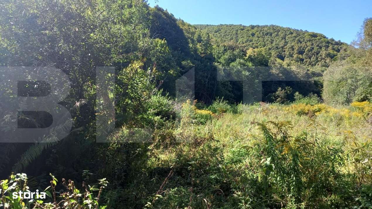 Teren intravilan in zona Valea Ierii, 9691 mp, front 84,71ml - Imagine principală: 2/2