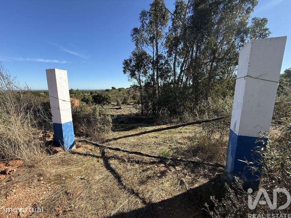 Casa de Campo T1 em Amieira e Alqueva de 36 m2 - Grande imagem: 4/23