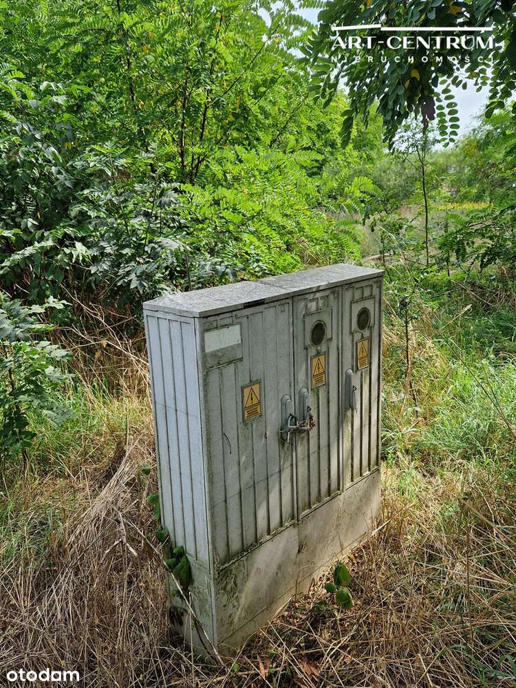 Działka w Serocku z drzewami-2