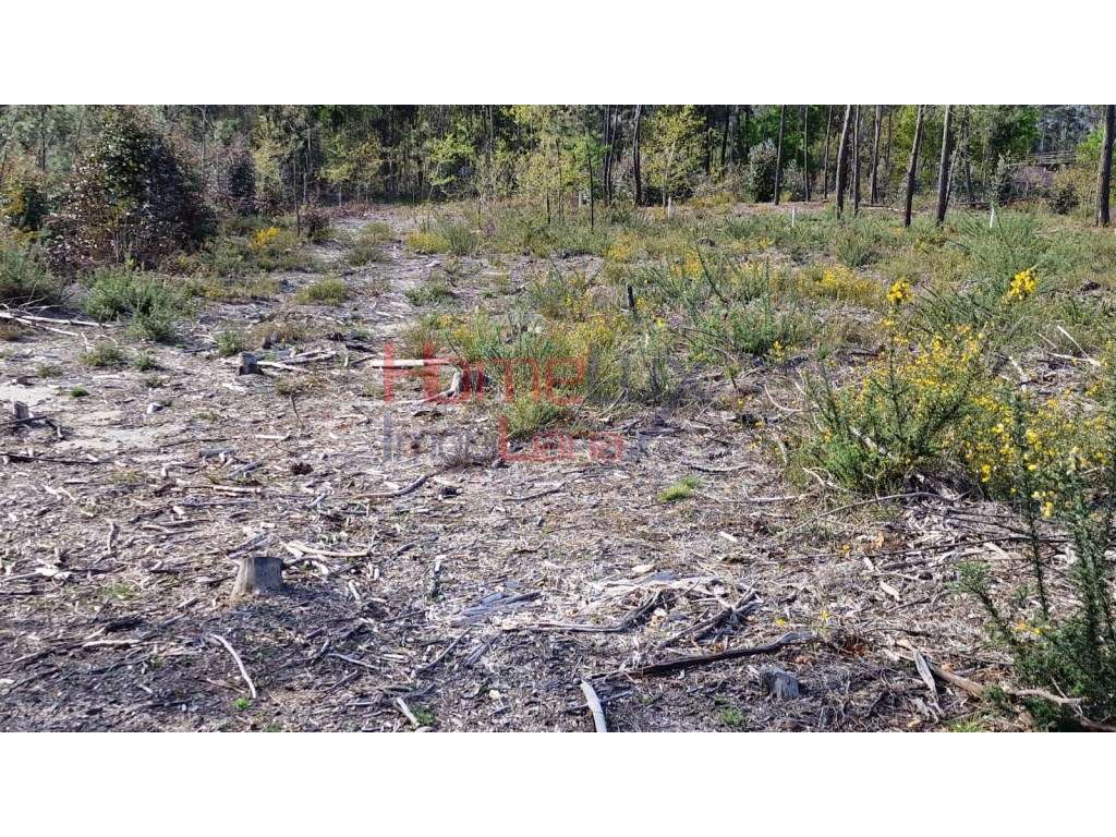 Terreno Rústico para venda em Coelhoso - Grande imagem: 4/19