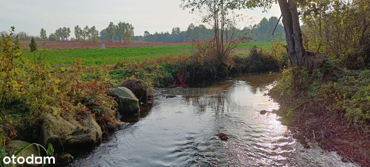 Piękna działka nad rzeką z linią brzegową