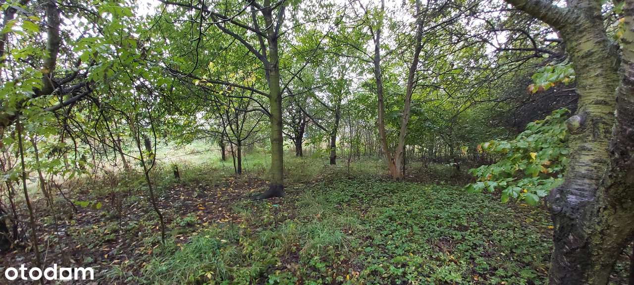 Wyjątkowa działka – jedno z ostatnich takich miejsc - MPZP - Pełny obrazek: 5/6