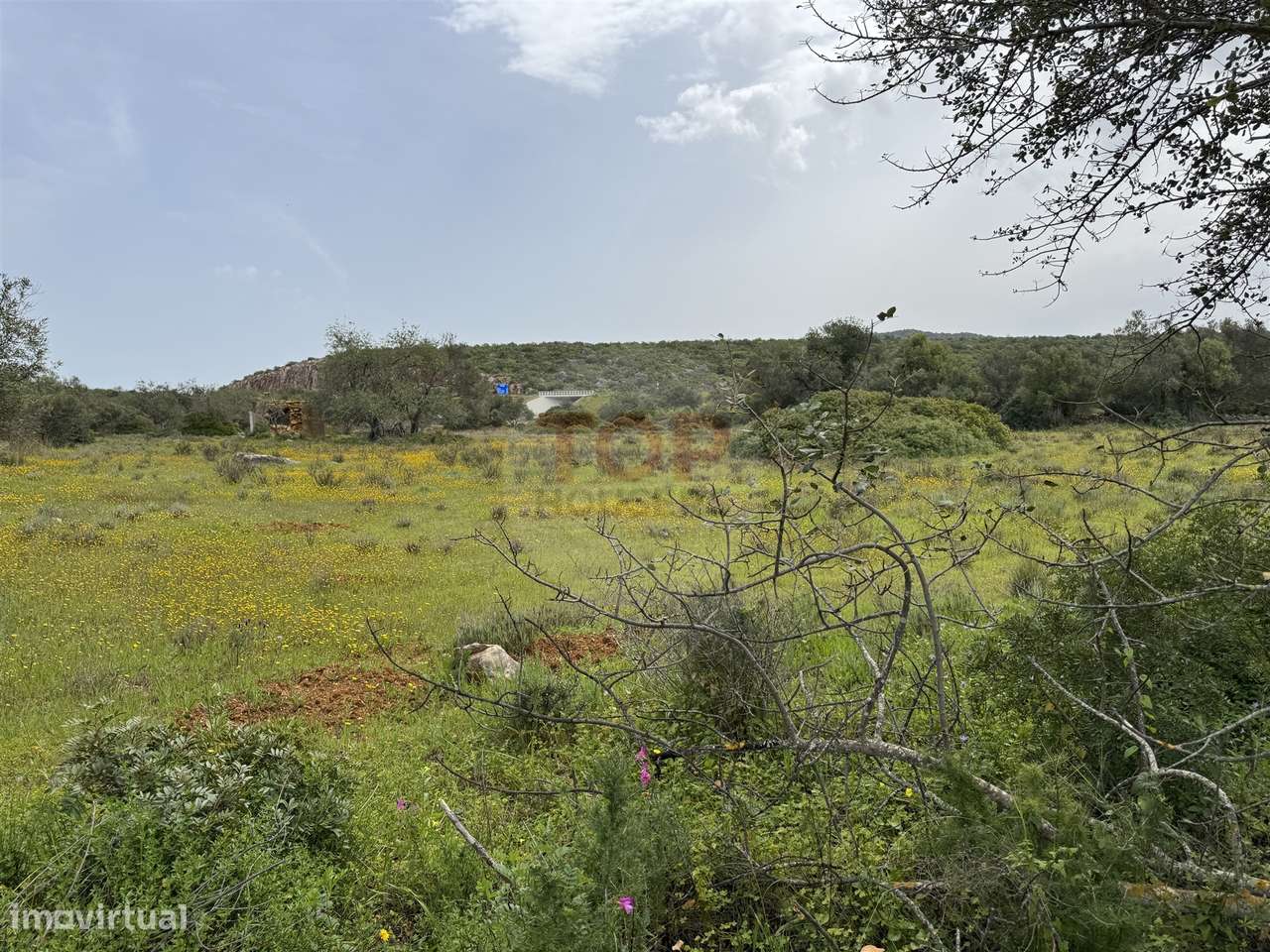 Terreno Misto em Moncarapacho - Grande imagem: 3/13