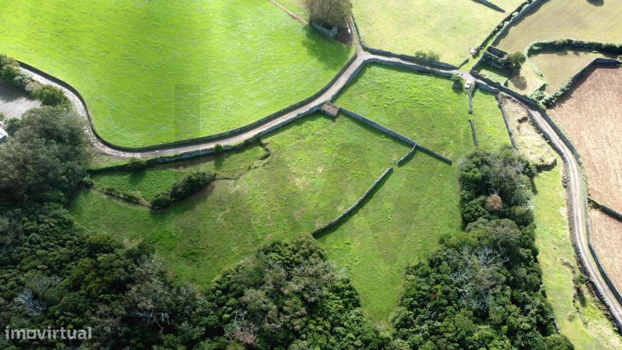 Terreno Rústico com mata - Pico do Alho - Rabo Peixe - Ribeira Grande - Grande imagem: 2/23