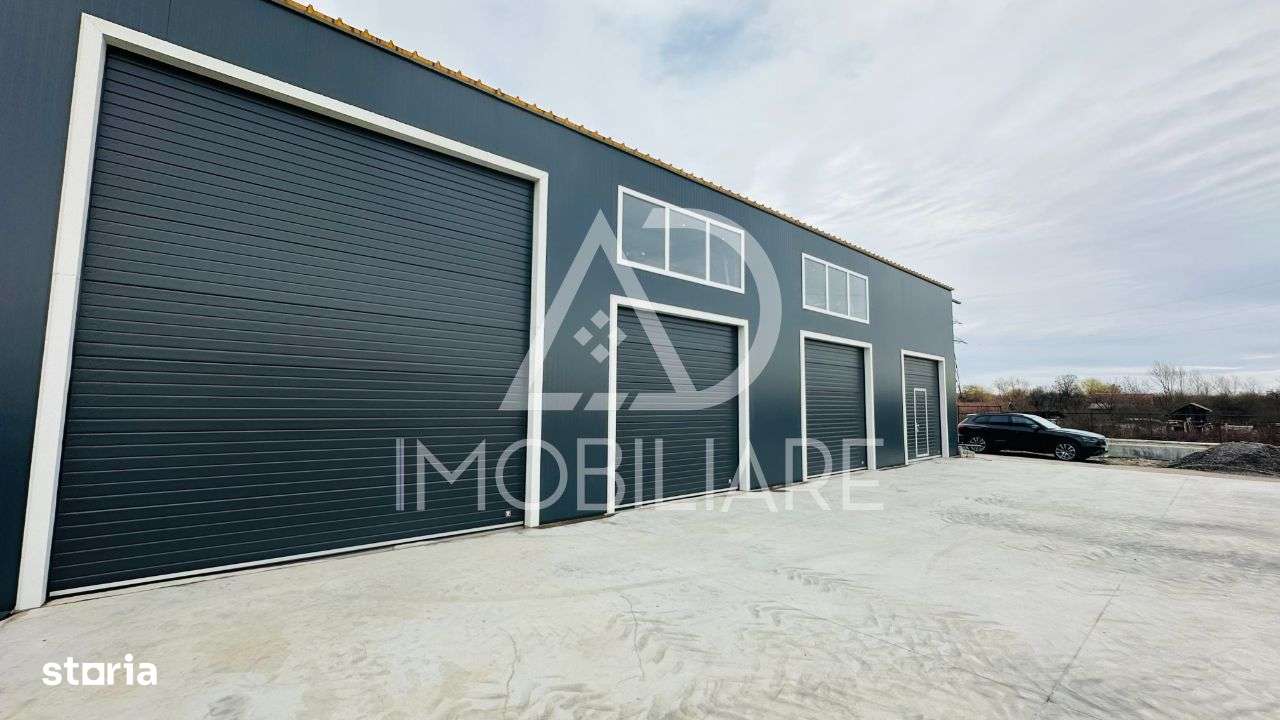 Hală nouă de închiriat / Calea București - Imagine principală: 4/9