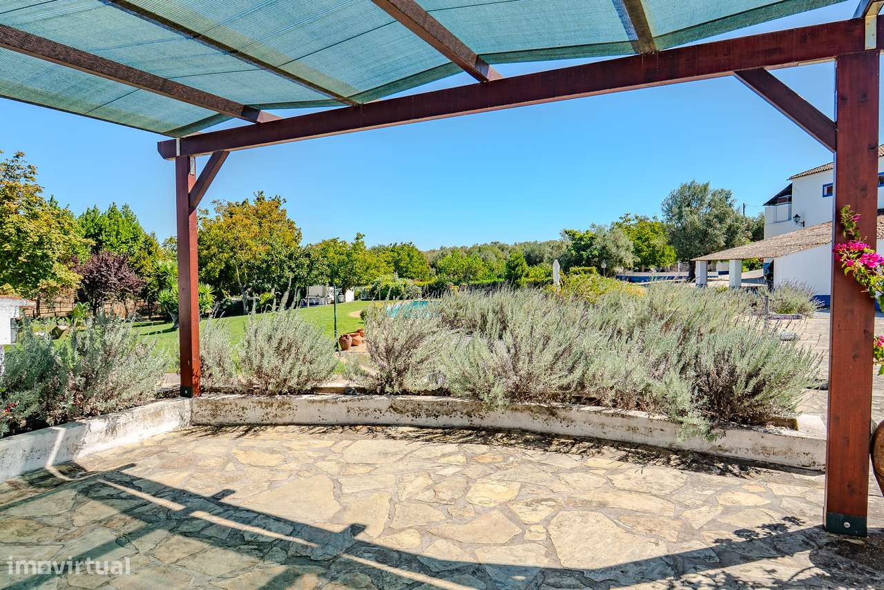 QUINTA 15 HA | VENDA | ÉVORA – ALENTEJO-42