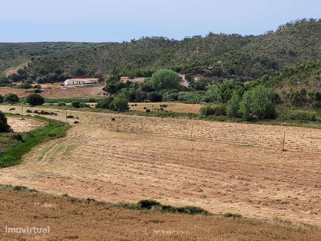 Herdade com 700 hectares para venda! - Grande imagem: 3/22