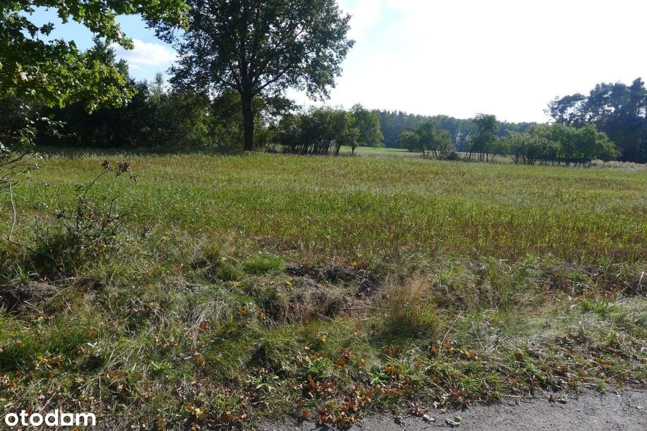 2500 m² – Ignacew Rozlazły, gm. Parzęczew – Mpzp-3