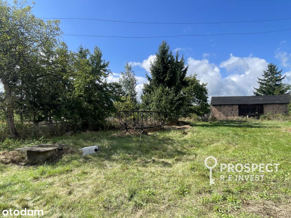 Dom do remontu 110m², duża działka, Ochocice-14