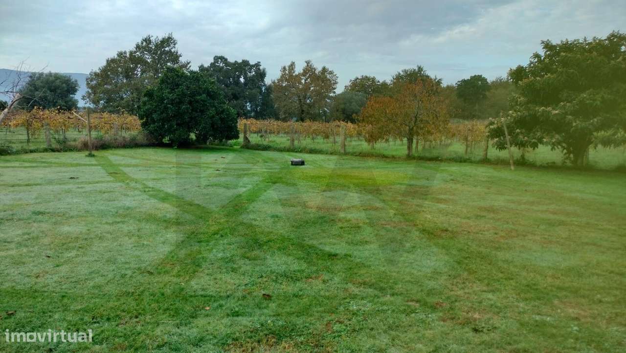 Quinta com Casa em Monção, Região Demarcada dos Vinhos Verdes, Agrotur - Grande imagem: 4/25