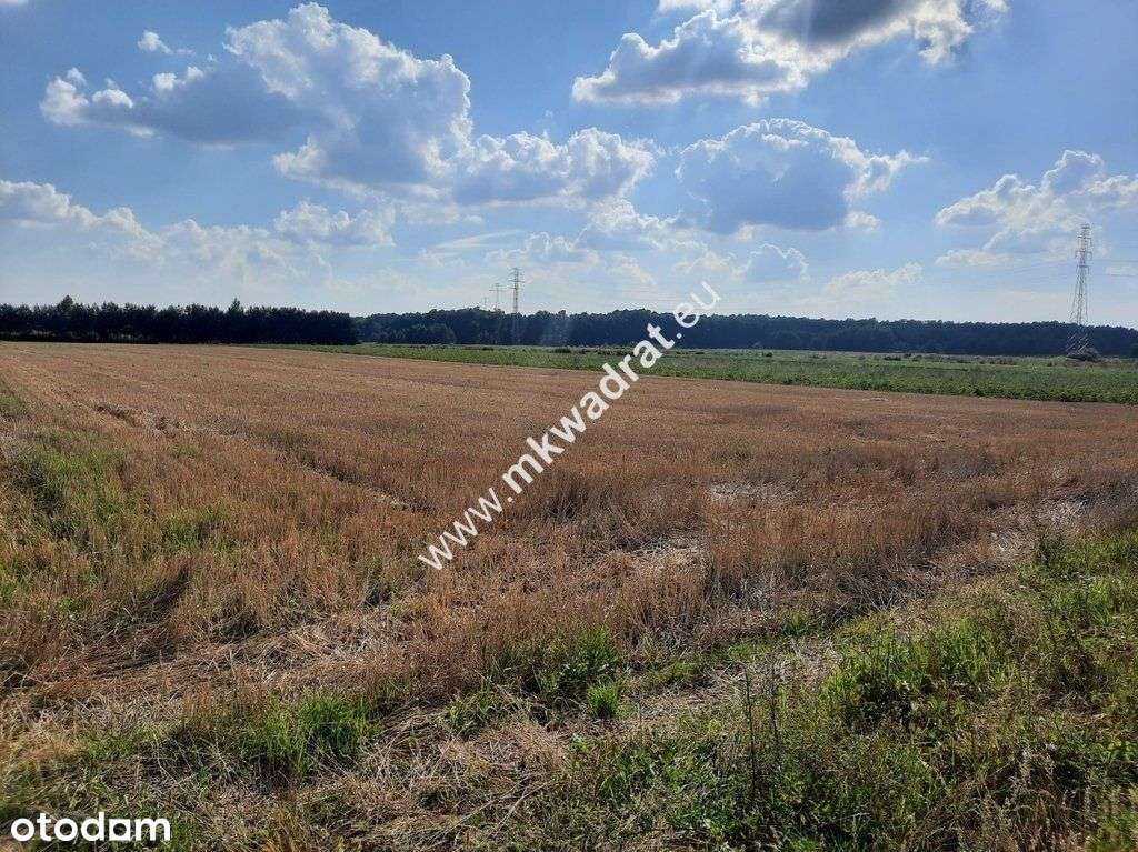 Niedroga działka przemysłowo/usługowa Nadarzyn
