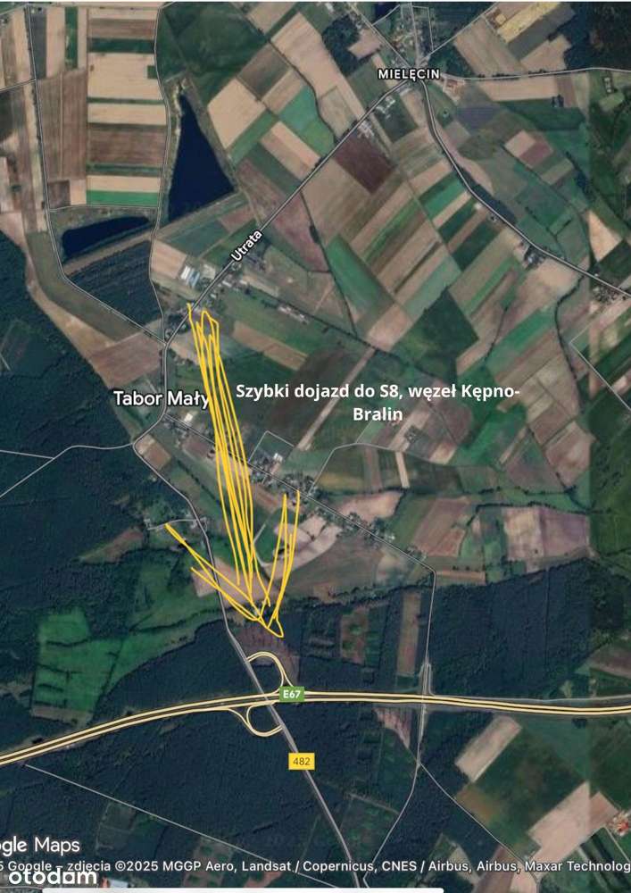 Na sprzedaż działka  - Tabor Mały gmina Bralin, 11 000 metrów - Pełny obrazek: 4/7