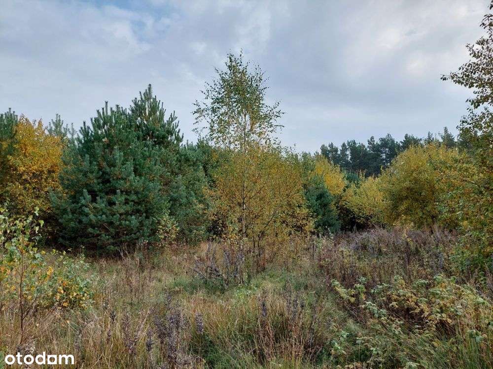 Działka budowlana na sprzedaż-1