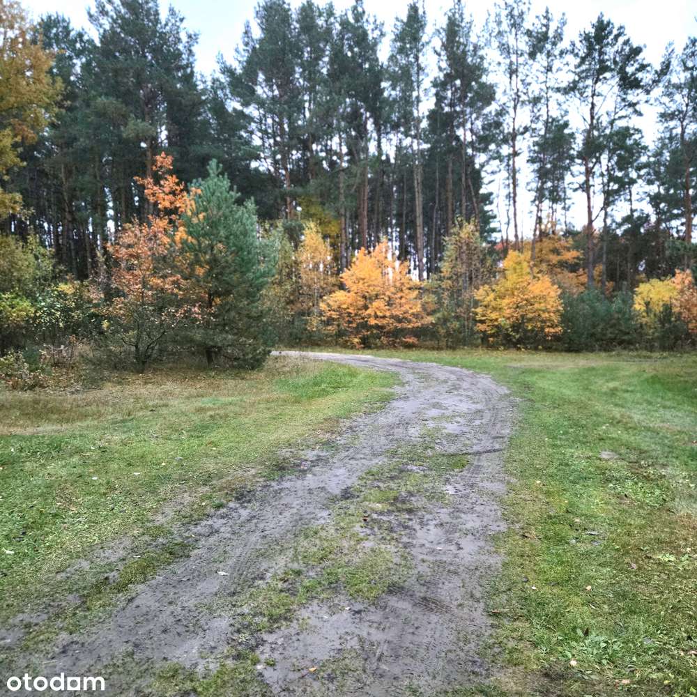 Dom z dużą działką. OKAZJA!-16