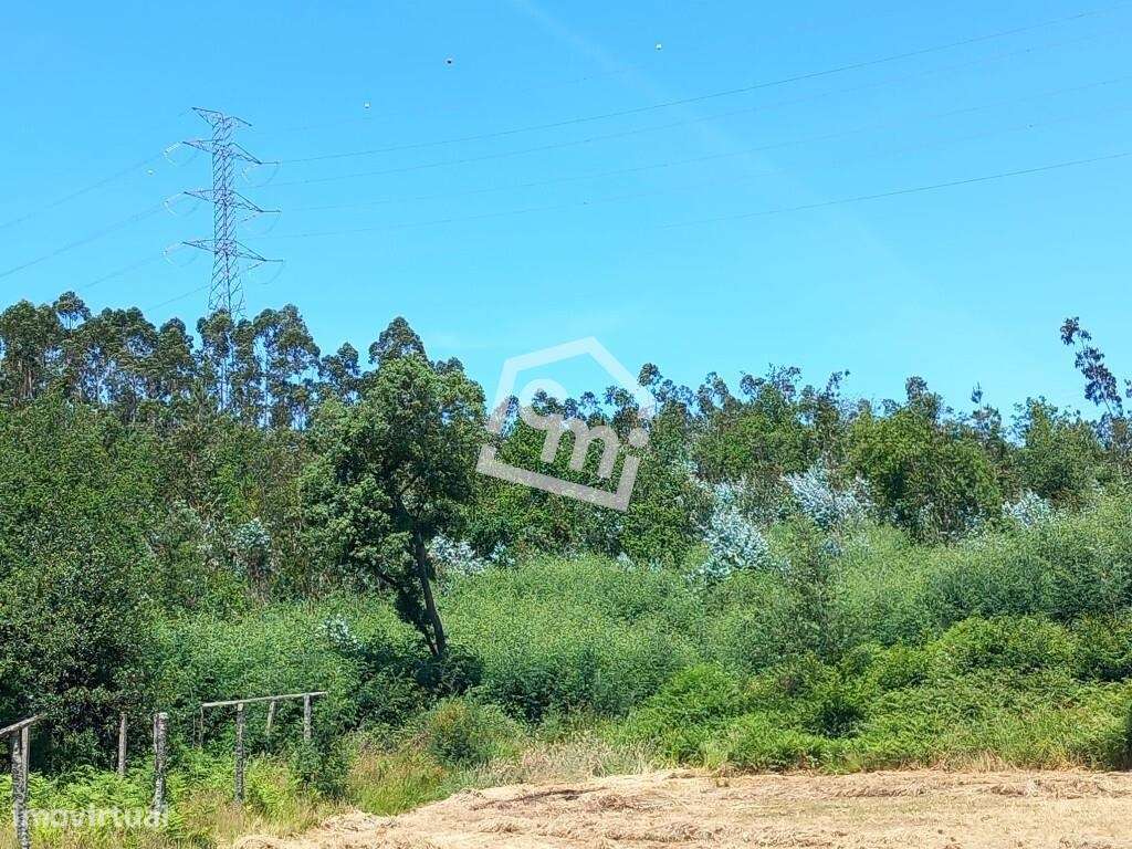 Terreno com Potencial Construtivo em Vandoma – Paredes-8
