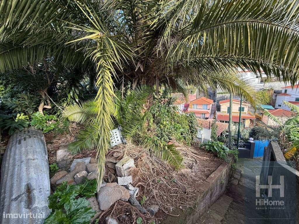 Lote de terreno no Pico dos Barcelos, Funchal - Grande imagem: 2/8