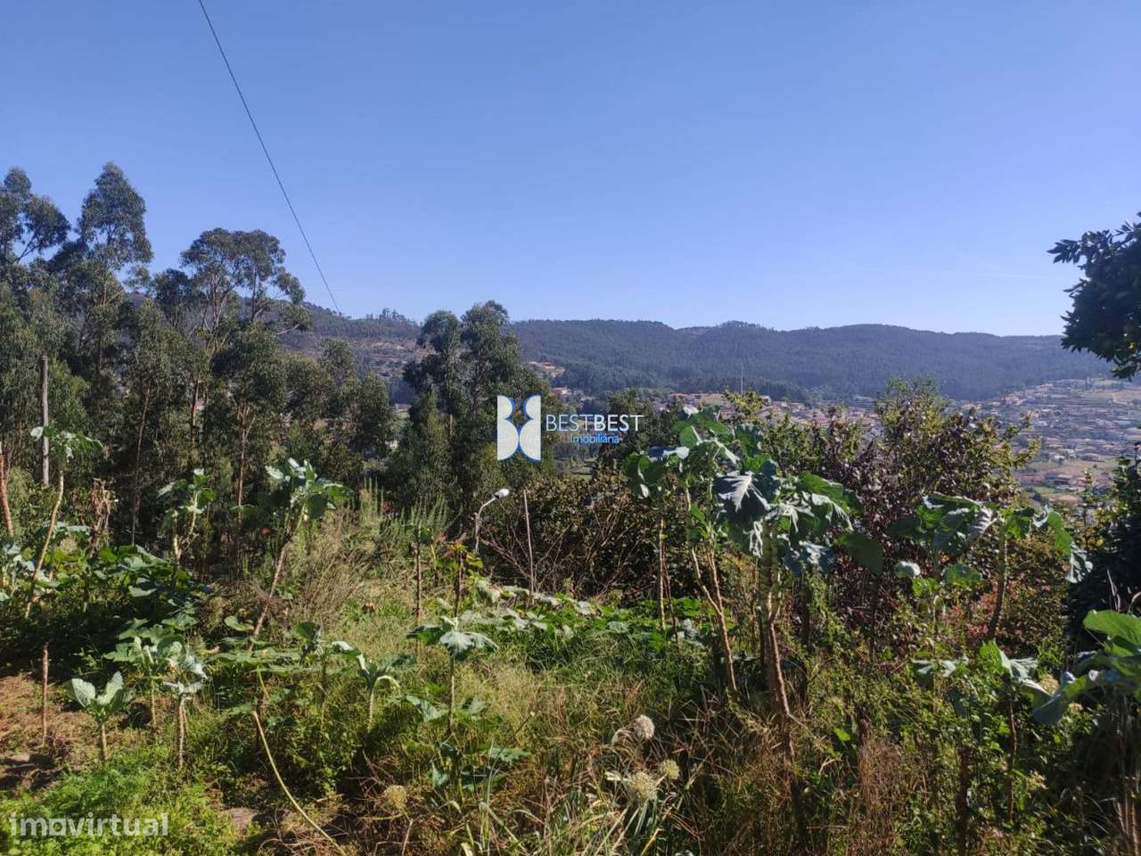 MORADIA INDEPENDENTE,REABILITAÇÃO, TERRENO 2.900M2, TELHADO,15MIN.FA-17