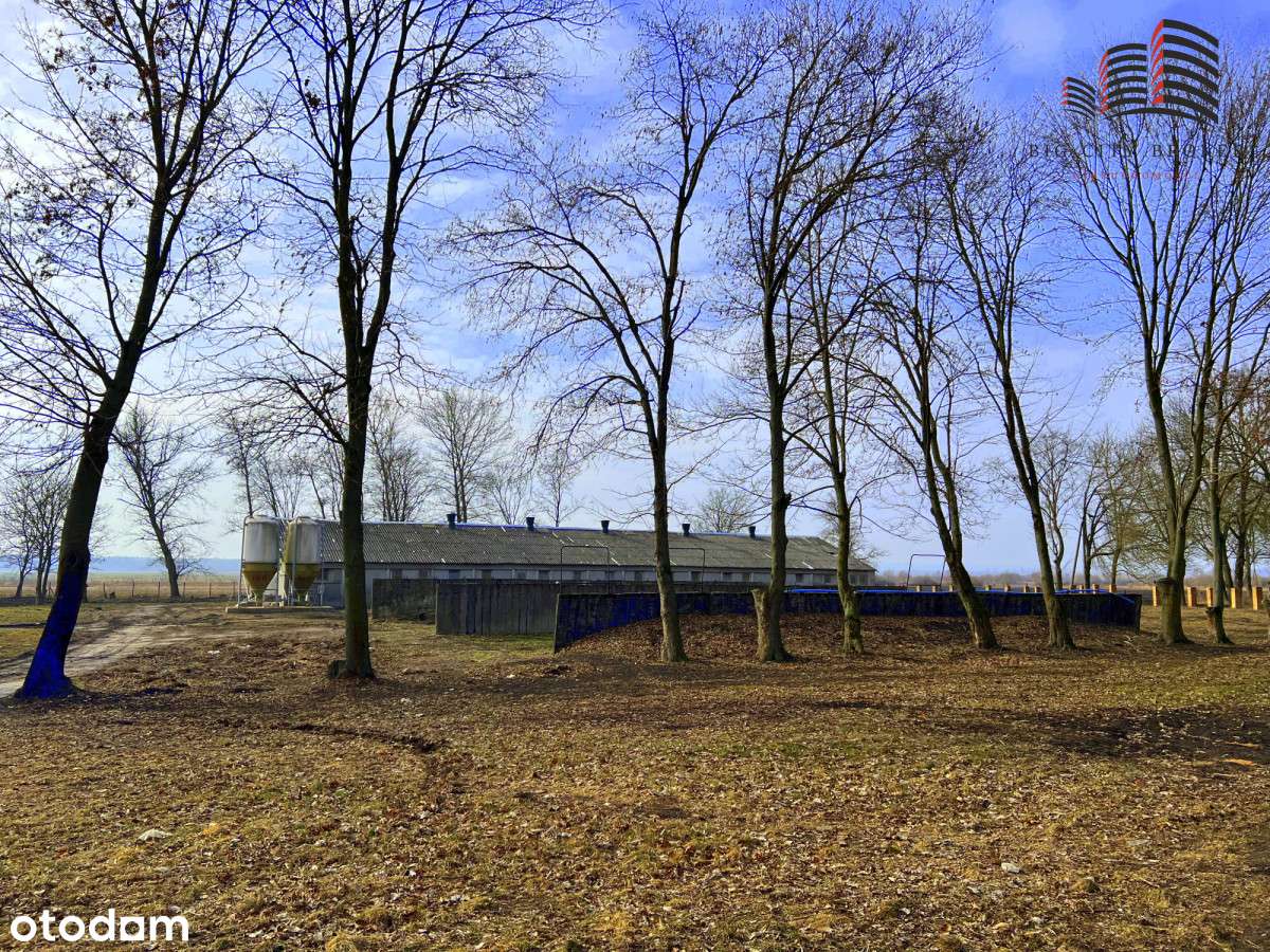Działka z budynkami produkcyjnymi- 324 ha - Pełny obrazek: 4/6