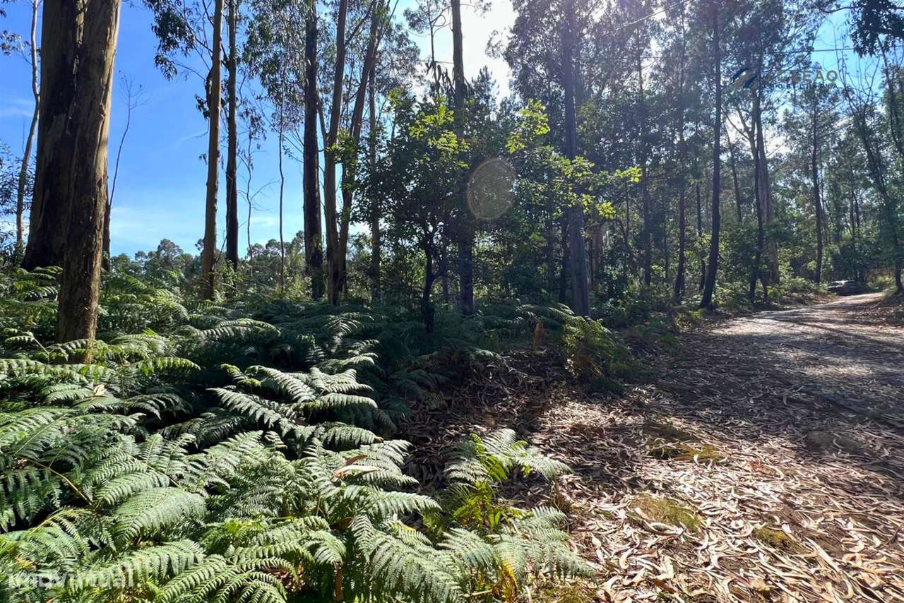 Terreno Rústico com 1400m2 em Lamoso, Paços de Ferreira - Grande imagem: 4/18