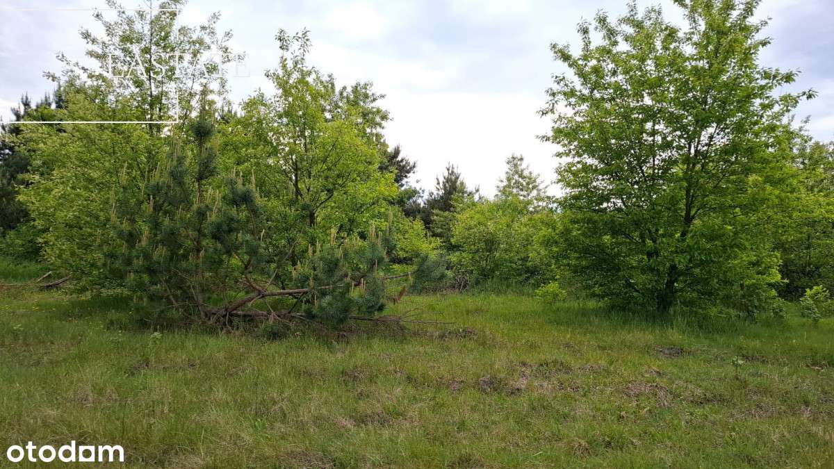 Budowlana, 10 km od Siedlec, media w drodze - Pełny obrazek: 4/11