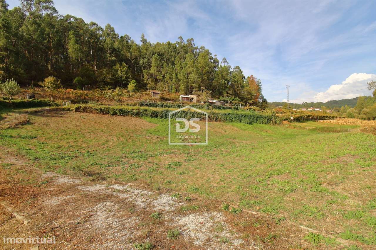 Terreno  Venda em Souselo,Cinfães - Grande imagem: 4/14