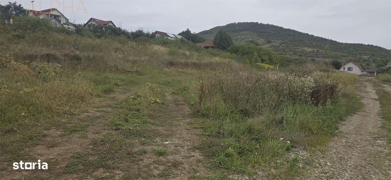 De vanzare teren intravilan – Viisoara, Jud. Bistrita-Nasaud - Imagine principală: 5/6