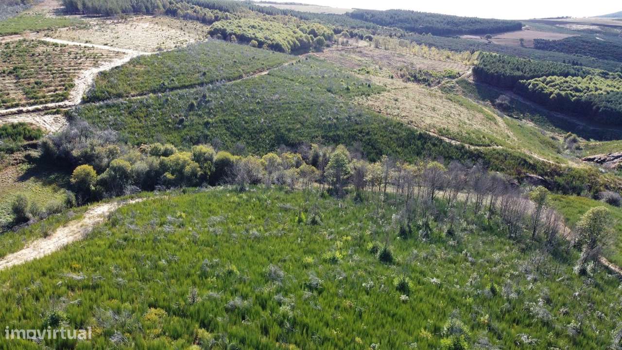 Duas habitações em 18 hectares-5