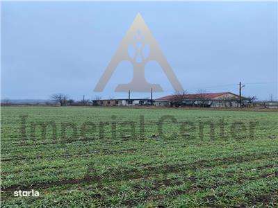 Teren Intravilan 28.000 mp în One?ti – pentru Investi?ii Industriale s-0