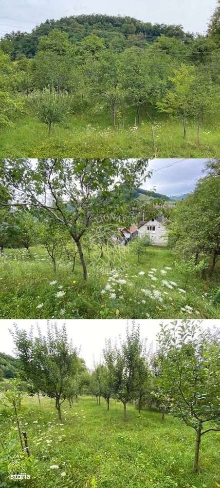 Casa 4 camere-teren/livada 1250 mp-pretabil locuire-Nepos - Imagine principală: 2/8