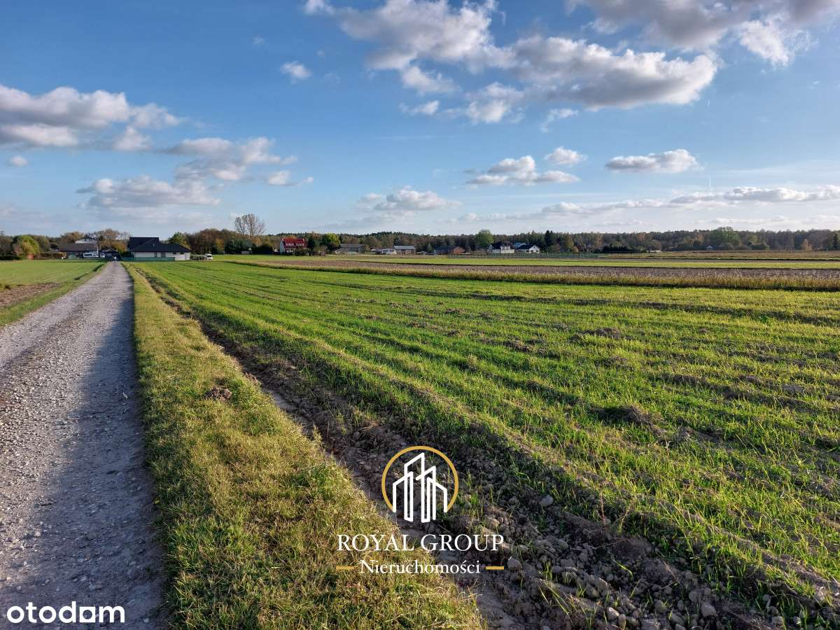 Na sprzedaż 30 arowa działka obok Krężnickiej - Pełny obrazek: 1/6