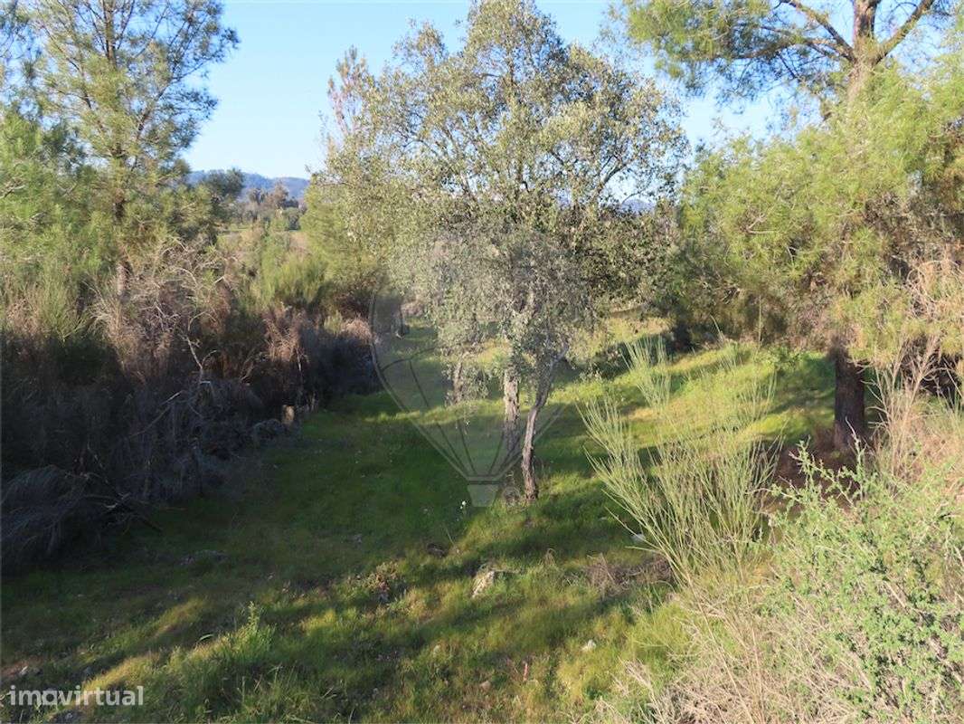 Quinta T0 para venda - Grande imagem: 4/31