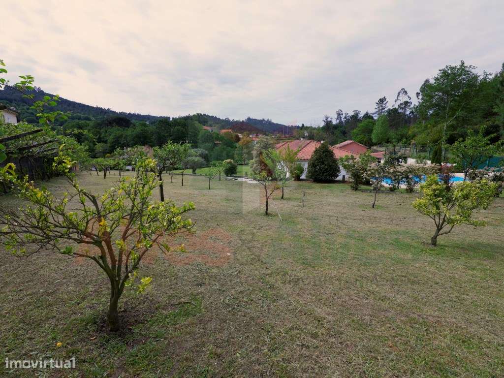 Quintinha com 2 casas -Extraordinária propriedade-11