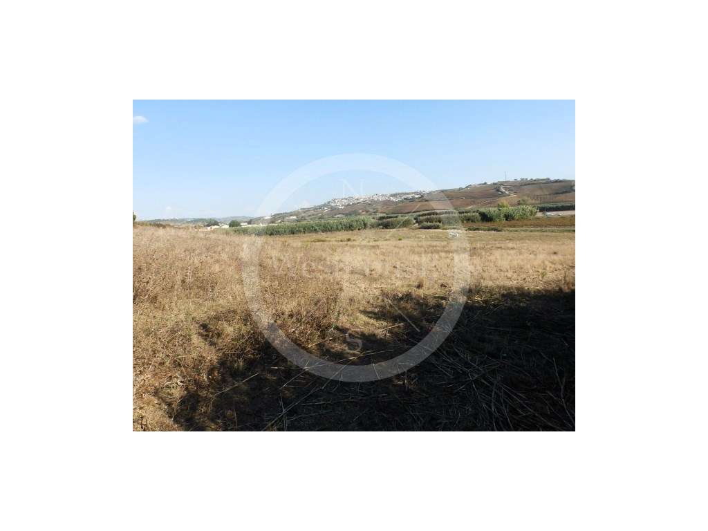 Terreno com 45.360m2 de área a 5 minutos da cidade de Torres Vedras-7