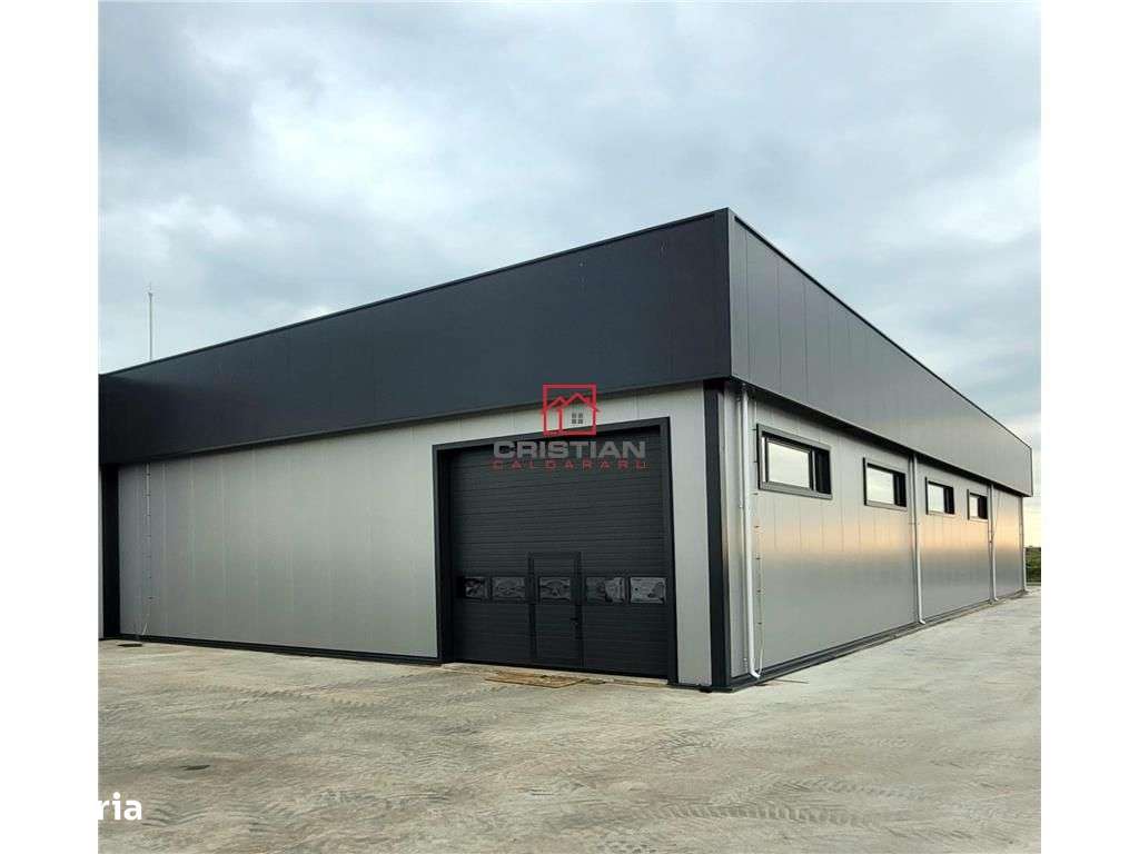 Vanzare depozithalaspatiu industrial Domnesti - Centura, Ilfov - Imagine principală: 2/20