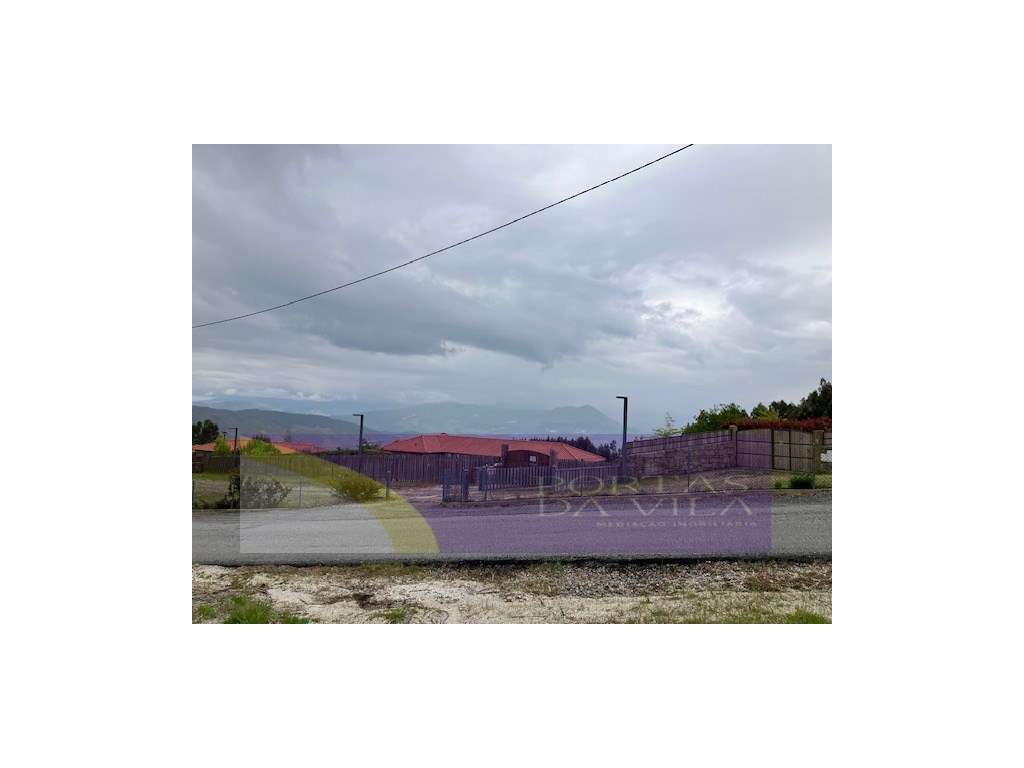 Terreno, Celorico de Bastos-12