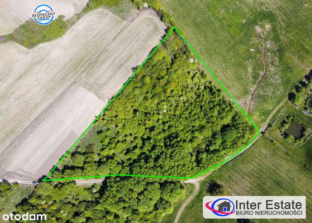 Działka Z Widokiem NA Zalew Wiślany-2