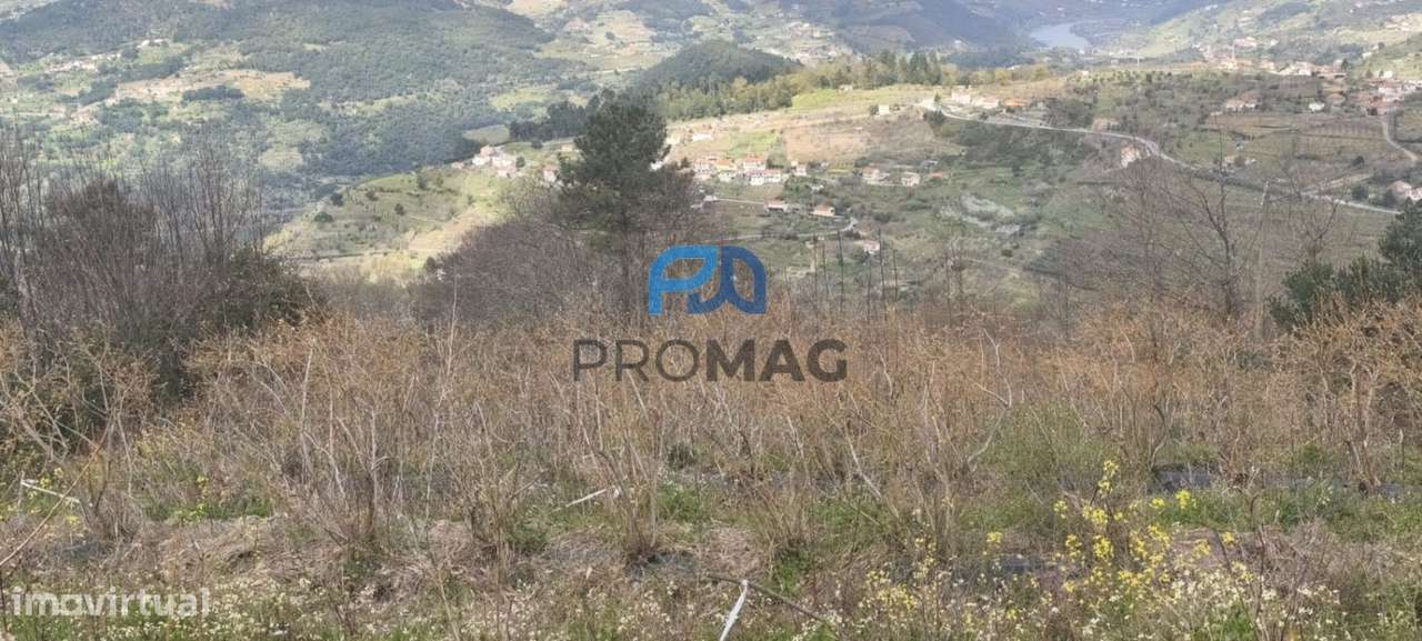 Terreno Urbanizável de 7959 m² com Armazém-45