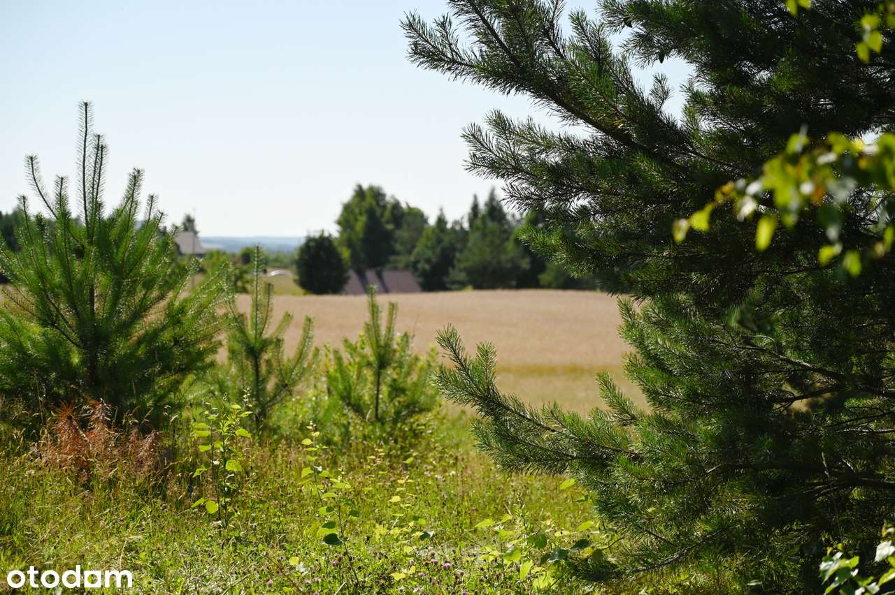 Tuż obok lasu|cisza|przepiękne widoki|szybki dojazd do obwodnicy-0