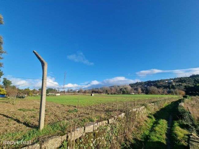 Fantástico terreno agrícola - Grande imagem: 4/7